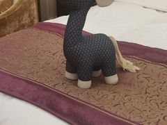 -唐山河头老街国丰维景国际大酒店