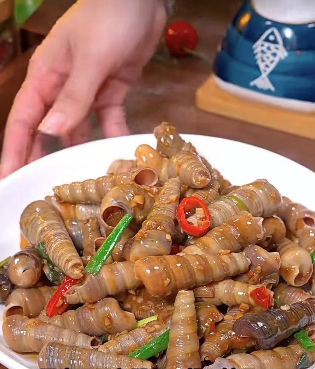 
长尾 • 海钉螺🐚开海
新鲜🌊鲜活钉螺,🈵