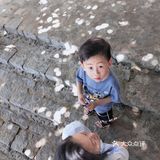 拿照片一问起他们还会记得这是芽庄！其他的也就可圈可点了