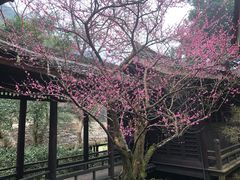 -黄公望隐居地
