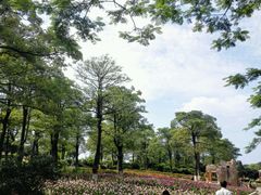 -松山湖梦幻百花洲
