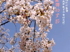 -龙美术馆(西岸馆)