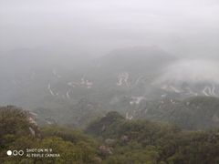 -内乡宝天曼生态旅游区