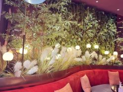 点击看大图 -花隐·美芙炫海菲秀皮肤管理中心