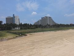 -东郊椰林