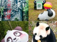 -阿露佳·舌尖上的安吉菜