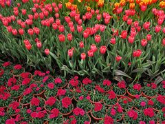 -厦门园林博览苑