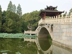 -东湖落雁景区