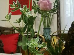 -养心斋涵信茶艺茶道培训