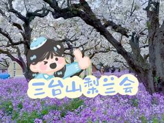 -江苏三台山国家森林公园