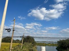 -莲花岛景区