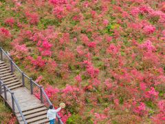 -瑞安圣井山景区