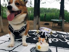 -顺鑫绿色度假村