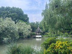 -上海醉白池公园