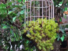 景观位-时光乌托邦空中花园餐厅川味·融合菜(幸福广场店)