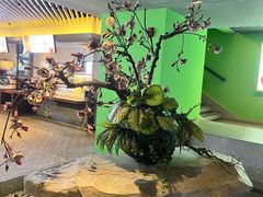 -春晖园度假酒店温泉