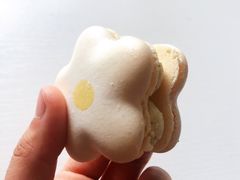 半熟花花马卡龙茉莉香梨味-好利来(幸福一家店)