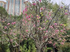 -晓港公园