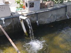 -北京龙庆四季香农家饭庄·灶台鱼·碳烤虹鳟鱼(龙庆峡店)