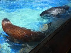 -太平洋海底世界