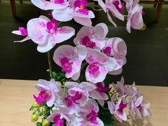 -紫· 割烹  Kappo Murasaki