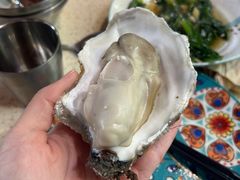 -蚝堡·生蚝海鲜烧烤物种起源•海肠捞饭(刘公岛店)