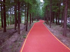 -明珠湖天鹅苑·农家菜馆