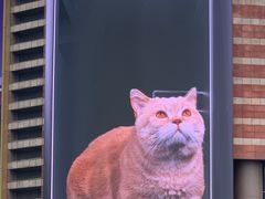 -正大广场