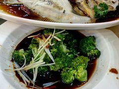 -永安之星休闲美食广场