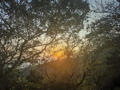 -珞珈山-售票处