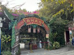 -瑞丽独树成林风景区