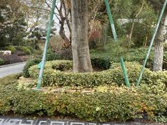 -上海望仙安息园