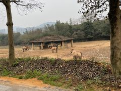-杭州野生动物世界