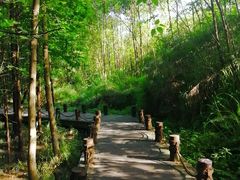 -桤木河湿地公园