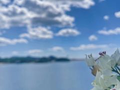 -望湖烤鱼