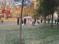 -双榆树公园