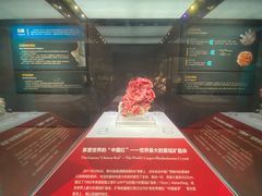 -湖南省地质博物馆