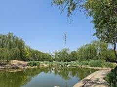 -南翠屏公园