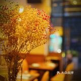 金沙洲超有氛围的微醺浪漫聚会点-“Social Club”