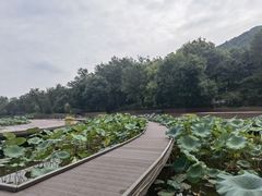 -北京宽沟会议中心