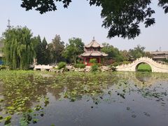 -莲池书院博物馆