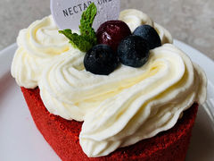 -Nectar One Cafe(勇烈路n1店)