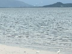 -深圳湾公园(南山区)