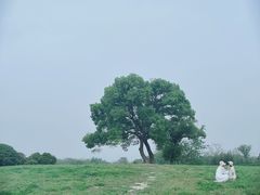 -良渚古城遗址公园