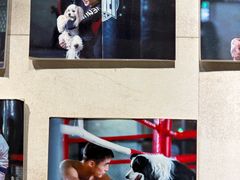 -格斗兄弟搏击健身训练馆(望京店)