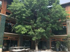 门面-那家山城(樱桃园店)