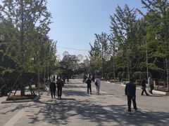 -迎泽公园