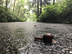 -法云古村