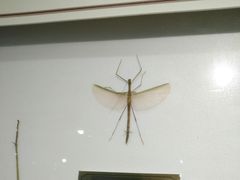 -上海昆虫博物馆