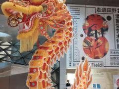 -深圳市当代艺术与城市规划馆